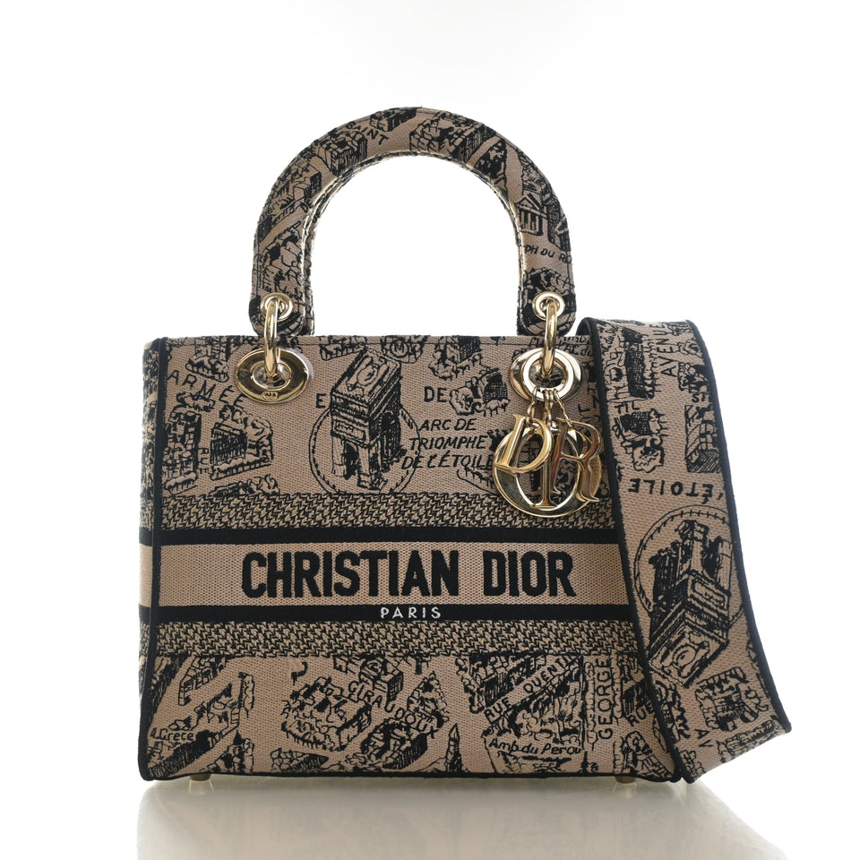 Christian Dior Medium Toile De Jouy Plan De Paris Lady D-Lite