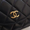 Chanel Small Lambskin Accor...