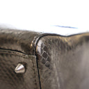 Dior Medium Python Lady Dior
