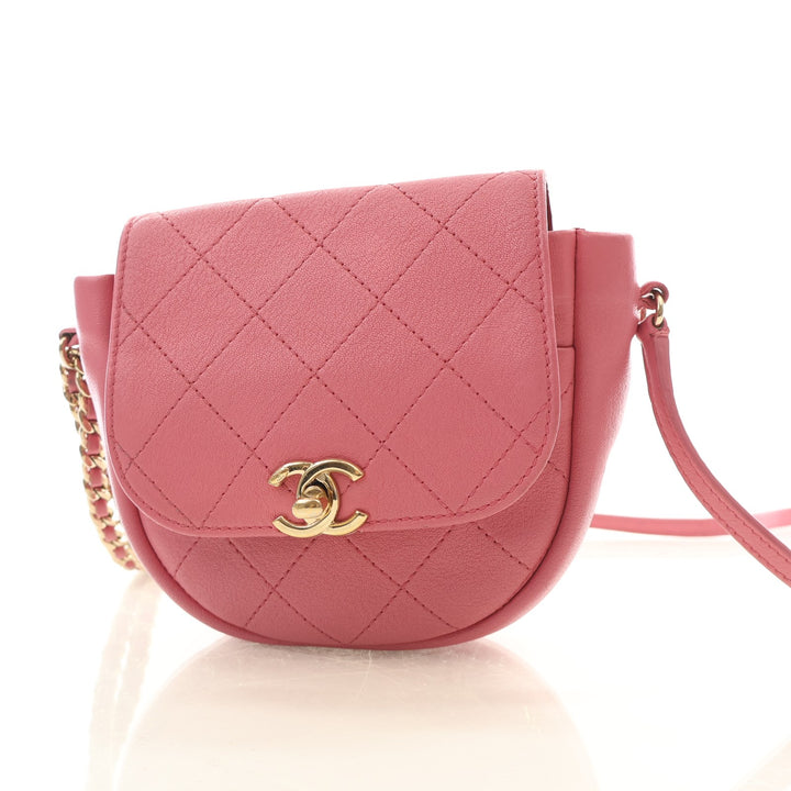 Chanel Goatskin Casual Trip Flap Bag