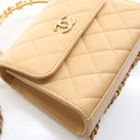 Chanel Lambskin Flap Bag Pe...