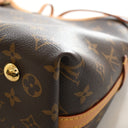 Louis Vuitton Monogram Carr...