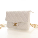 Chanel Caviar Pick Me Up Fl...