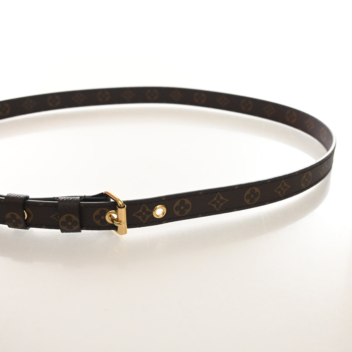 Louis Vuitton Monogram Strap, photo 5 of 10