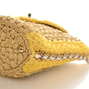 Chanel Raffia Venice Beach ...