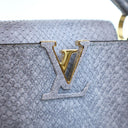 Louis Vuitton Python Capuci...
