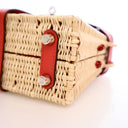 Hermes Picnic Kelly 20 Roug...