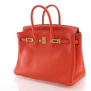 Hermes Feu Togo Birkin 25