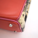 Dior Small Calfskin and Pyt...