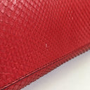 Celine Medium Python Trapeze