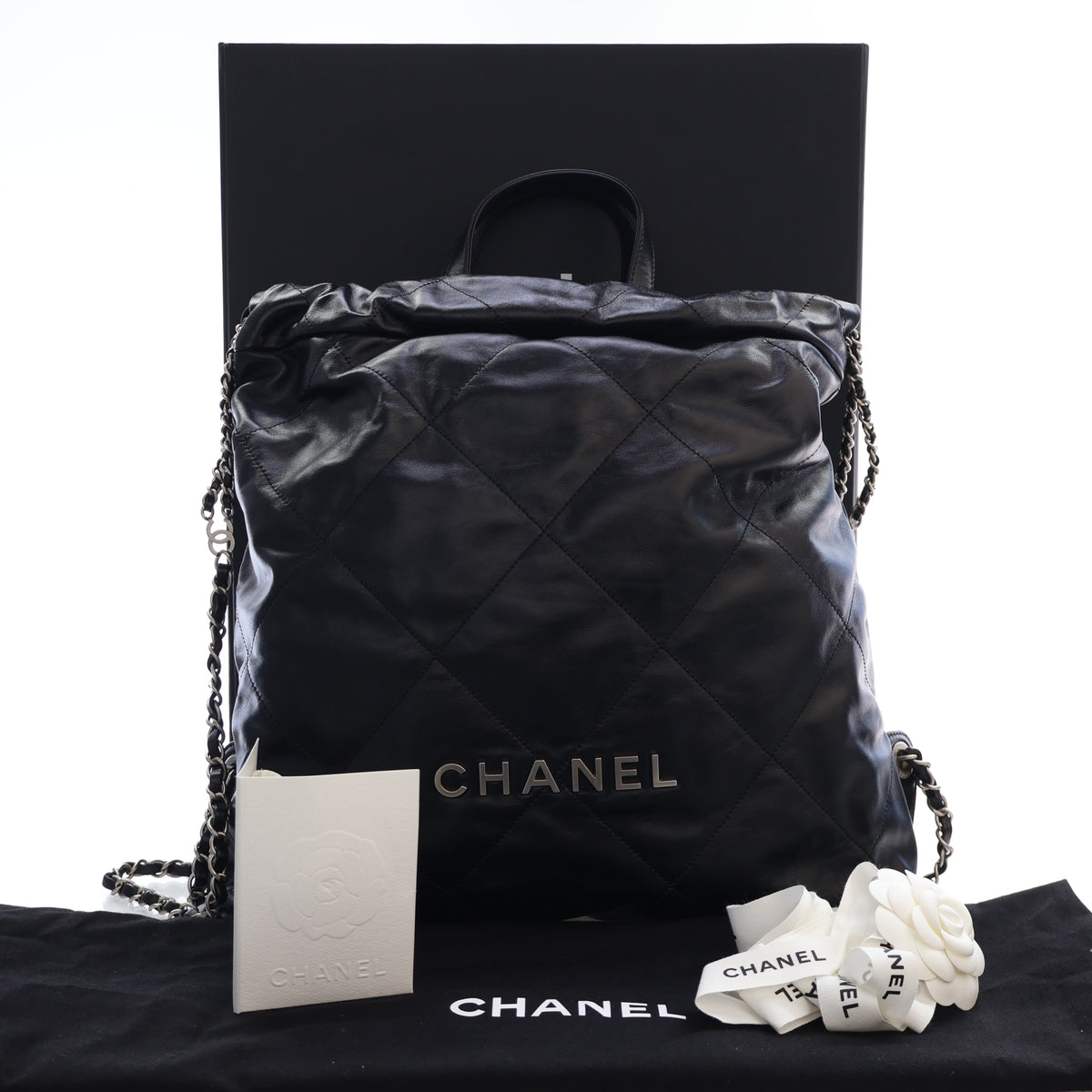 Chanel Shiny Calfskin 22 Backpack, photo 18 of 18