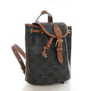 Celine Mini Triomphe Canvas...