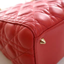 Christian Dior Medium Lambs...