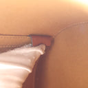 Celine Medium Canvas Triomp...