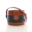Celine Medium Canvas Triomp...