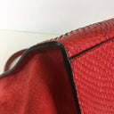 Celine Medium Python Trapeze