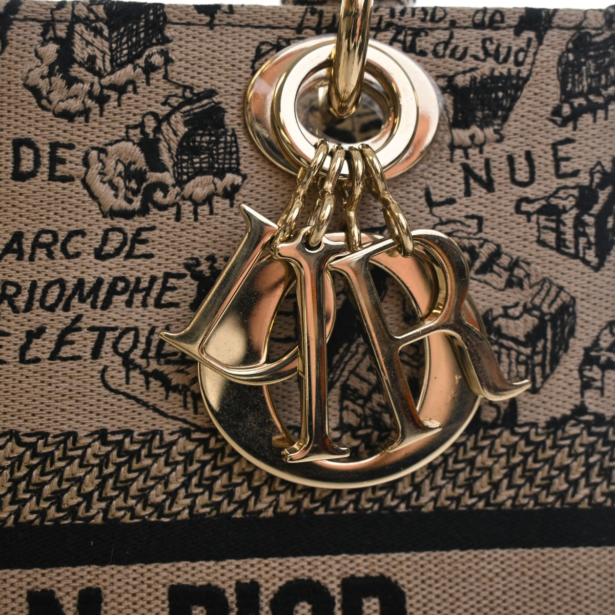 Pre-Owned Christian Dior Medium Toile De Jouy Plan De Paris Lady D-lite, gold hardware close-up