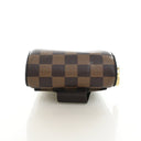 Louis Vuitton Damier Ebene ...