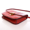 Celine Medium Python Box Bag