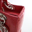 Dior Medium Python Lady Dior