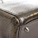 Dior Medium Python Lady Dior