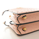 Fendi Ostrich Peekaboo ISee...