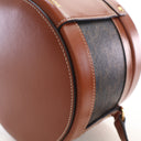 Celine Medium Canvas Triomp...