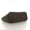 Louis Vuitton Damier Ebene ...