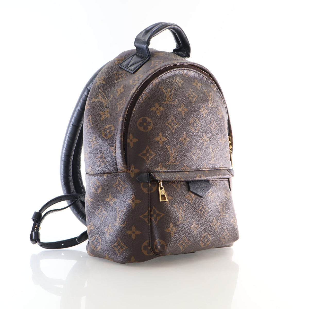 Pre-Owned Louis Vuitton PM Monogram Palm Springs, front view